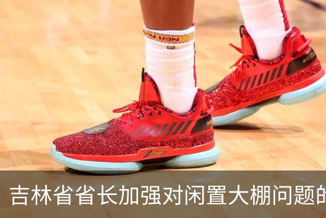 吉林省省长加强对闲置大棚问题的专项研究与治理